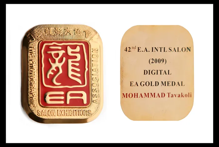 EA Gold Medal — 42nd International Salon 2009